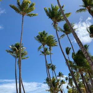 Meet your Posher, Denise